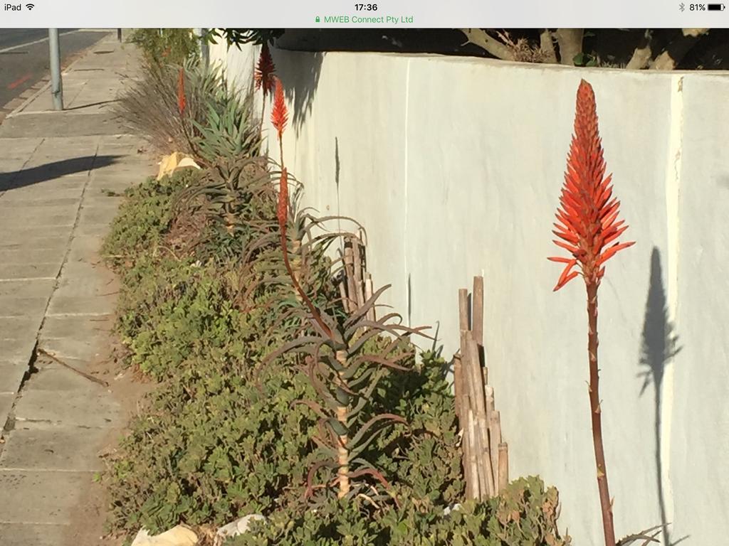 דירות הרמנוס 77 On 7Th Street מראה חיצוני תמונה